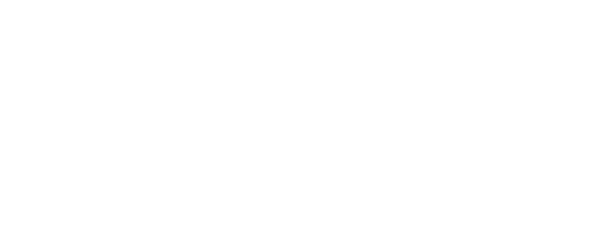 light logo