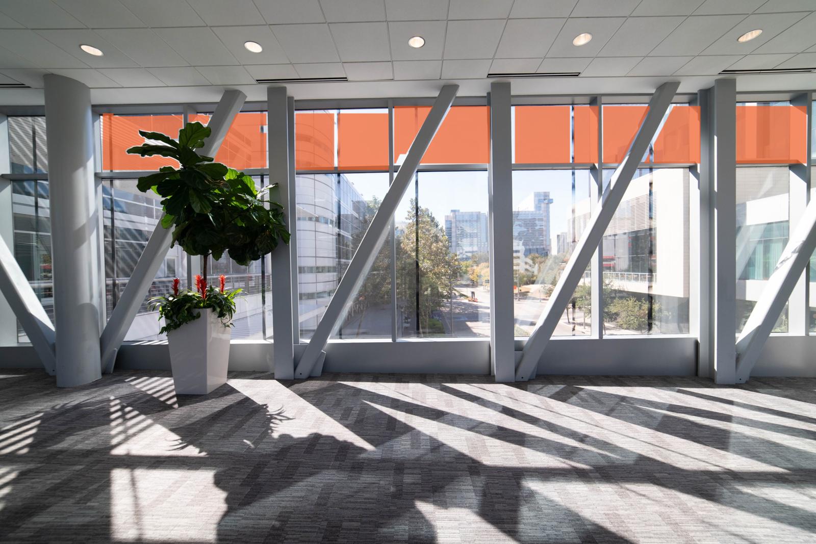 Marriott Sky Bridge, Top Windows